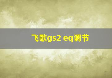 飞歌gs2 eq调节